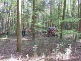 Maibaum_2016 (54).JPG